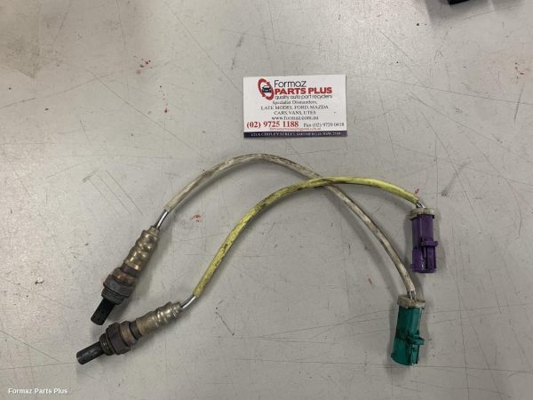 Oxygen Sensor