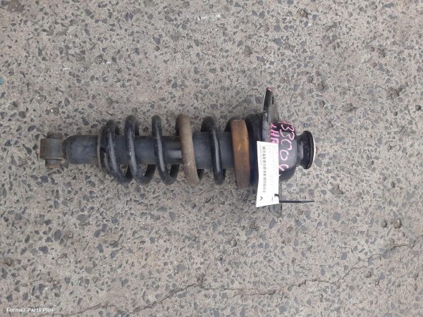 Left Rear Strut