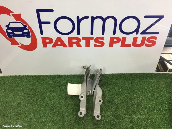 Bonnet Hinge/Strut