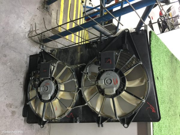 Fan