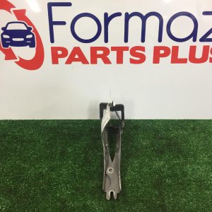 Bonnet Hinge/Strut
