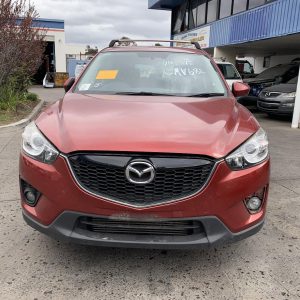 Right Rear 1/4 Door Glass