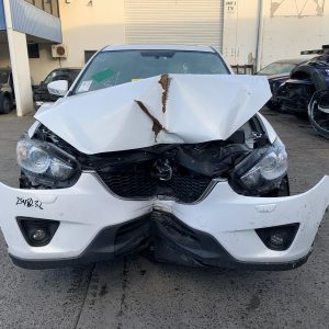 Left Rear Trailing Arm