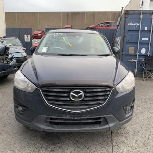 Left Rear Door Window