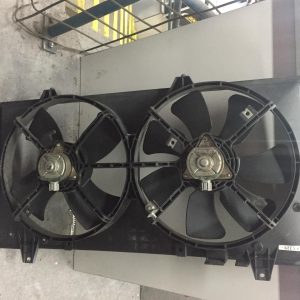 Fan