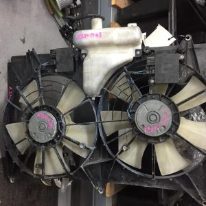 Fan