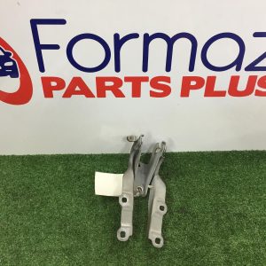 Bonnet Hinge/Strut