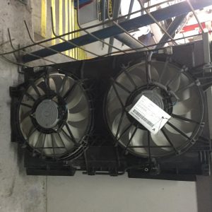 Fan