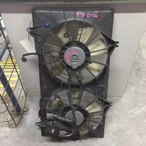 Fan