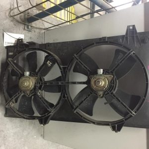 Fan