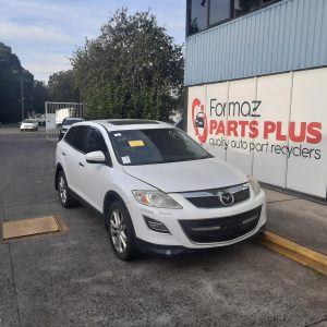 Left Front Door Window