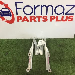 Bonnet Hinge/Strut
