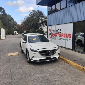 Right Rear Door Window