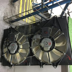 Fan