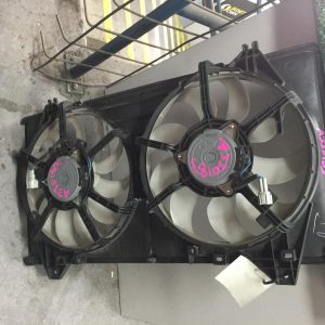 Fan