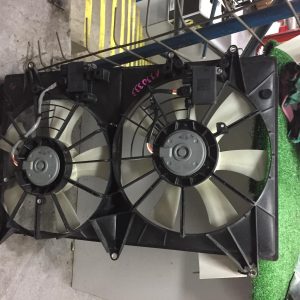 Fan