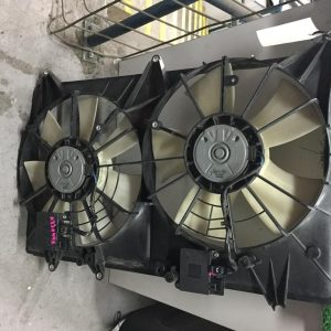 Fan