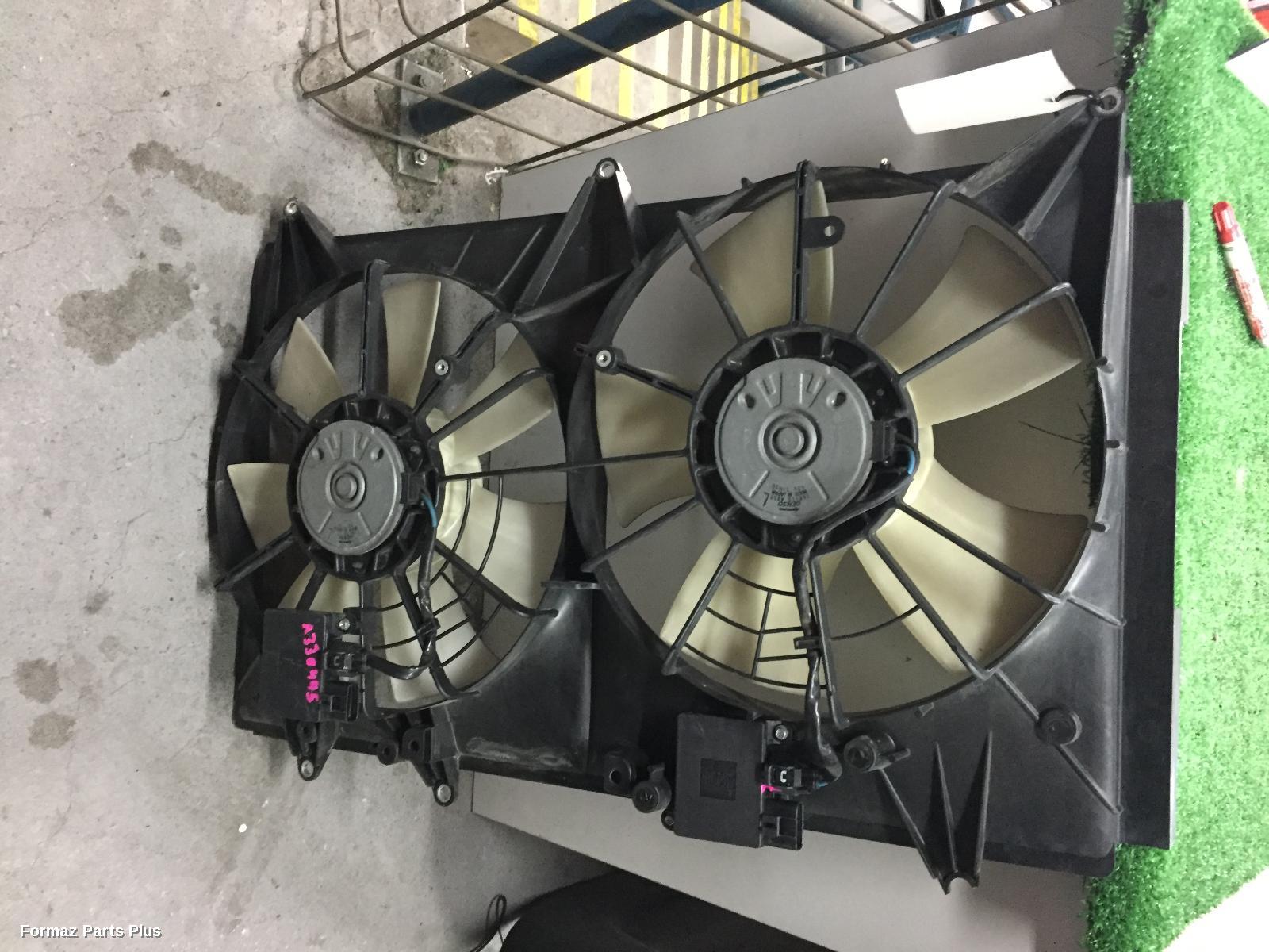 Fan