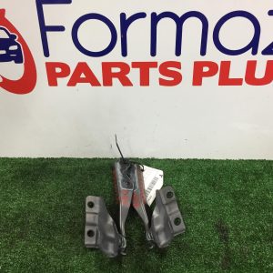 Bonnet Hinge/Strut