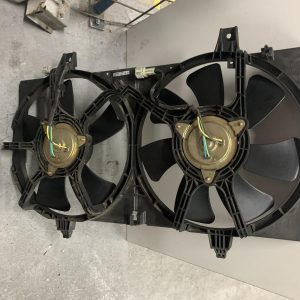 Fan