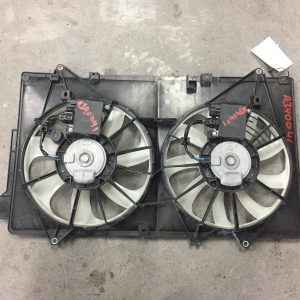 Fan
