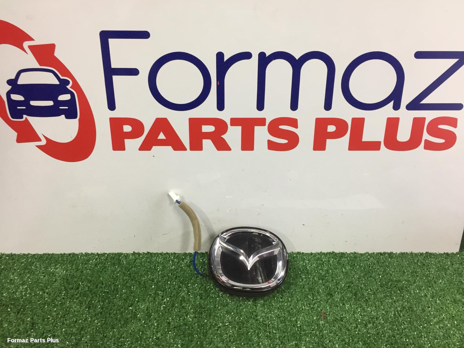 Tailgate Handle