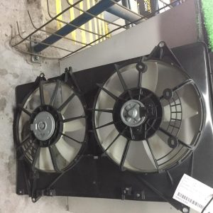 Fan