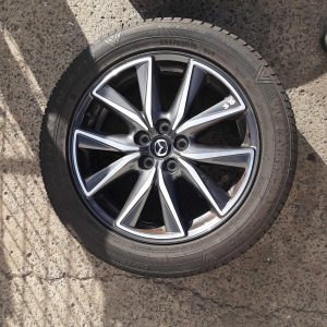 Wheel Mag