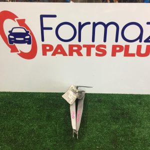 Bonnet Hinge/Strut