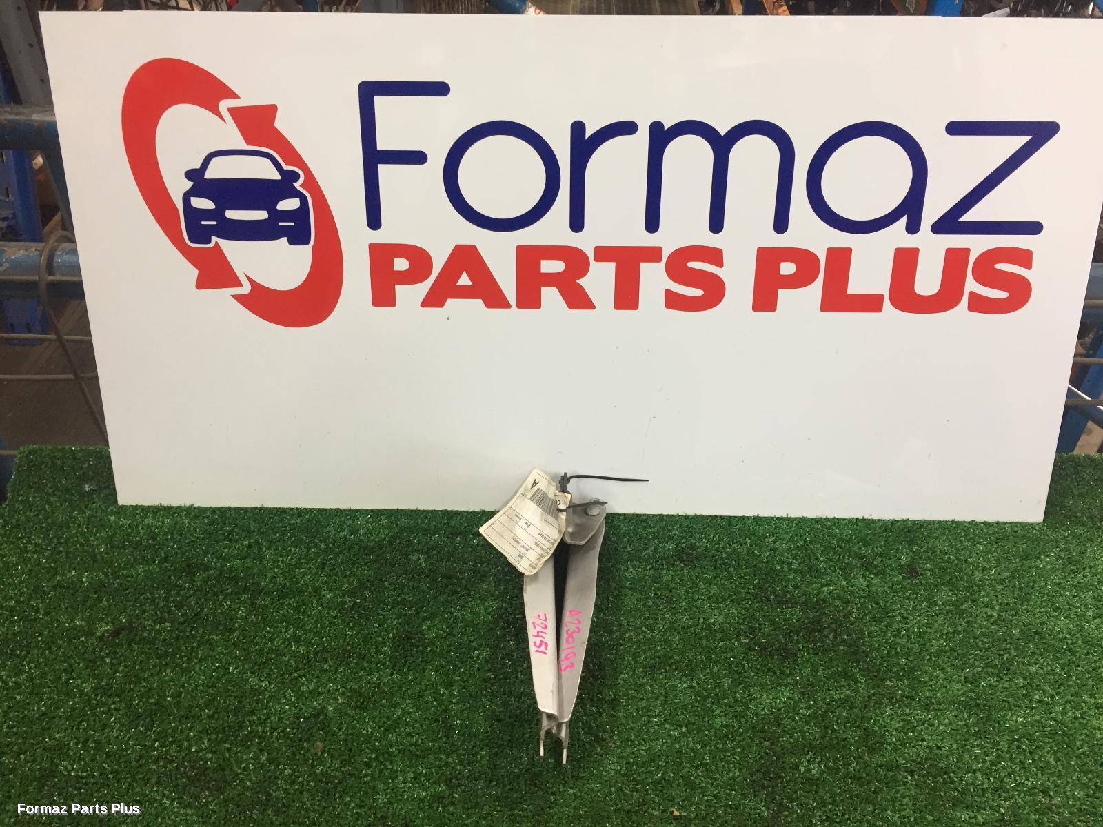 Bonnet Hinge/Strut