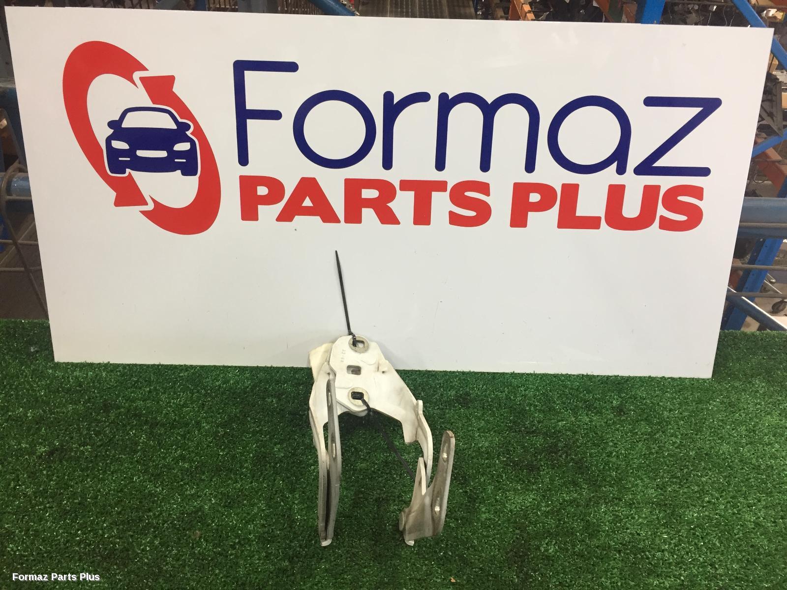 Bonnet Hinge/Strut