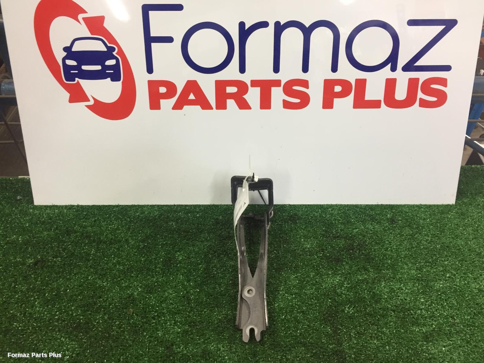 Bonnet Hinge/Strut