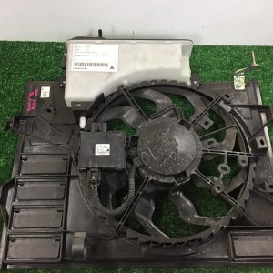 Fan