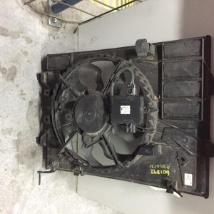 Fan