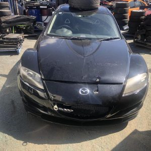 Left Door Mirror
