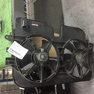 Fan