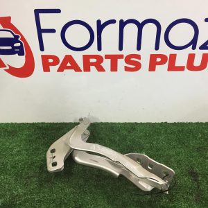 Bonnet Hinge/Strut