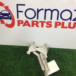Bonnet Hinge/Strut