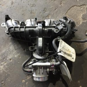 Manifold