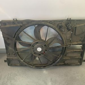 Fan