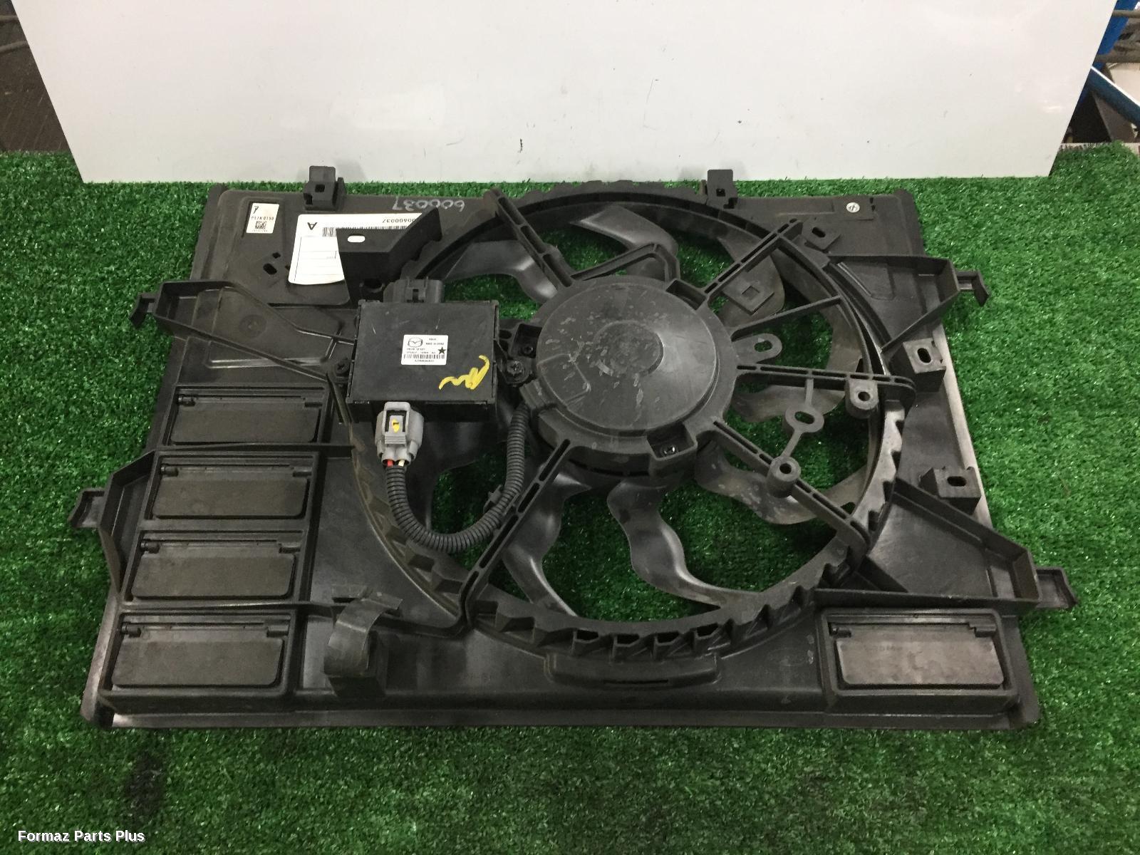 Fan