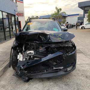 Left Front Strut