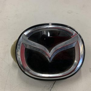 Tailgate Handle