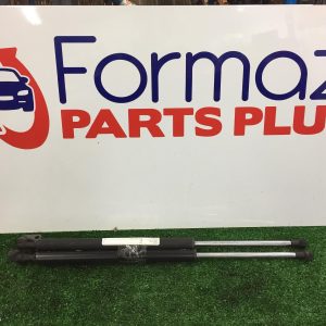 Hatch Strut