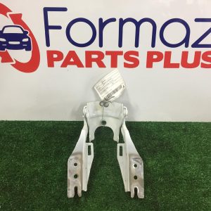 Bonnet Hinge/Strut