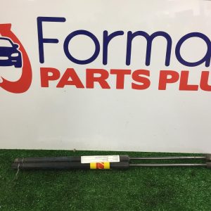 Bonnet Hinge/Strut