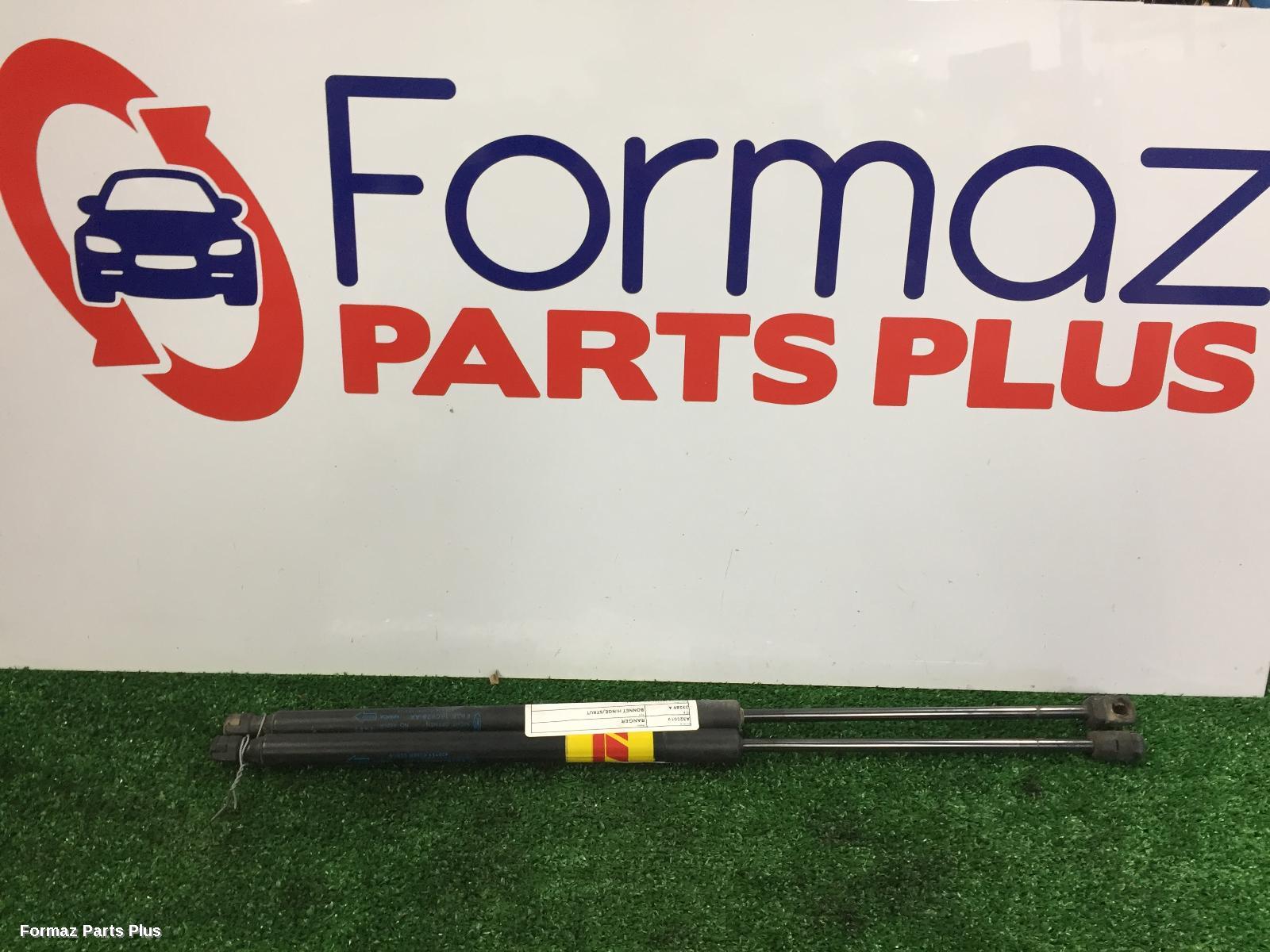 Bonnet Hinge/Strut