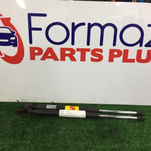 Hatch Strut