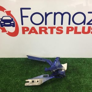 Bonnet Hinge/Strut