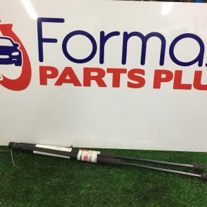 Bonnet Hinge/Strut